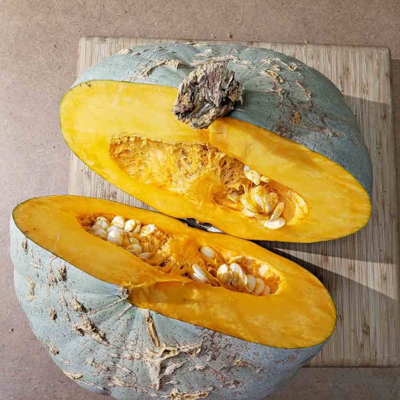 10 Vegetable Seeds Sweet Meat Squash    #IEB30