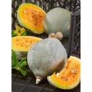 10 Vegetable Seeds Blue Hubbard Squash    #IEB30