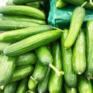 20 vegetable seeds Persian cucumber, easy to grow #IEB31