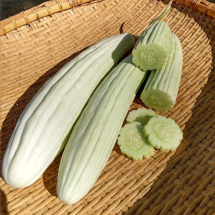 20 seeds Pale Light Armenian cucumber, easy to grow #IEB31