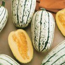 20 seeds Delicata squash, easy to grow  #IEB31