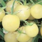 20 vegetable seeds White   tomato , easy to grow   #IEB31
