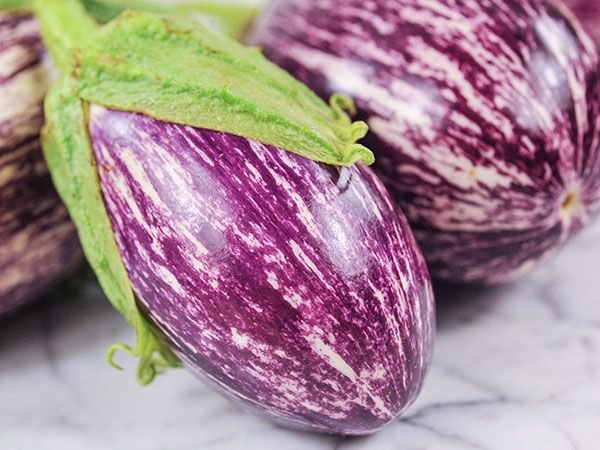 Vegetable seeds  Listada de Gandia Eggplant, 20 seeds     #IEB31