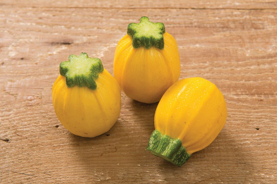 20 seeds   Summer Ball Zucchini squash, easy to grow  #IEB31