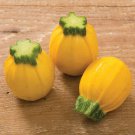 20 seeds   Summer Ball Zucchini squash, easy to grow  #IEB31
