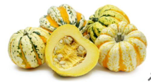 Vegetable seeds Carnival Squash, 15 seeds     #IEB31