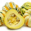 Vegetable seeds Carnival Squash, 15 seeds     #IEB31