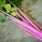 Chinese Pink Celery 250 Seeds, easy to grow #IEB32