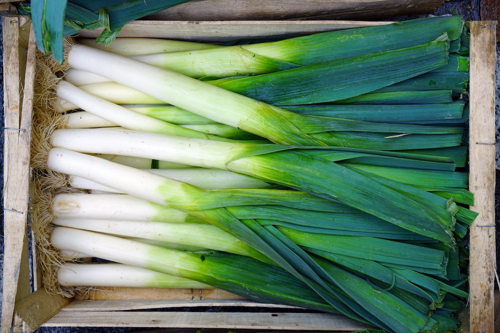 50  vegetable seeds Scallion Green Onion, easy to grow   #IEB35