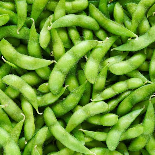 30 Vegetable   Seed Japanese Edamame Soy Bean     #IEB35
