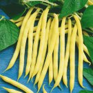 Vegetable  Seed Yellow Wax    Golden String Green Beans 50 seeds #IEB35