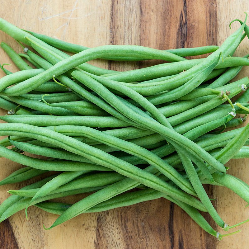 Garden Vegetable Bush Green Beans  Top Crop  20 seeds #IEB35