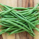 Garden Vegetable Bush Green Beans  Top Crop  20 seeds #IEB35