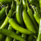 40 seeds Serrano Chili Hot Pepper   #IEB38