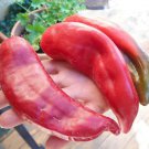 Giant Big Jim Mild Hot Pepper 30 Seeds . easy to grow #IEB38
