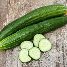 20 vegetable seeds Tokiwa Tokyo Green Cucumber, easy to grow   #IEB38