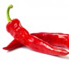 30 vegetable seeds Hot Portugal Pepper    #IEB38