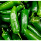 50 vegetable seeds Pepper  Jalapeno, easy to grow   #IEB37
