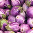 50 vegetable seeds  Italian Eggplant Rosa Bianca Solanum    #LMES2