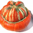 10 seeds American Turks Turban Squash Gourd Cucurbita Maxima     #LMES2