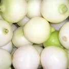500 Seeds Crystal White Wax Pearl Onion Allium Cepa  #LMES2