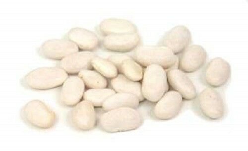 50 Vegetable  seeds Northern Bean Bush Phaseolus Vulgaris  #LMES2