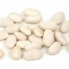 50 Vegetable  seeds Northern Bean Bush Phaseolus Vulgaris  #LMES2