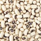 Blackeye Pea   Eyed Southern Cow Pea 100 Vegetable  seeds   #LMES2