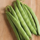 20 vegetable seeds Bean   Commodore Bush   #IEB46