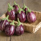 100 seeds Eggplant Seed   Black Beauty      #IEB46