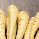 50 seeds Parsnip All American        #IEB46