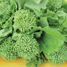 100 seeds Broccoli Raab   Rapini   #IEB46