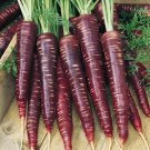 100 vegetable seeda Carrot  Purple Haze  #IEB46