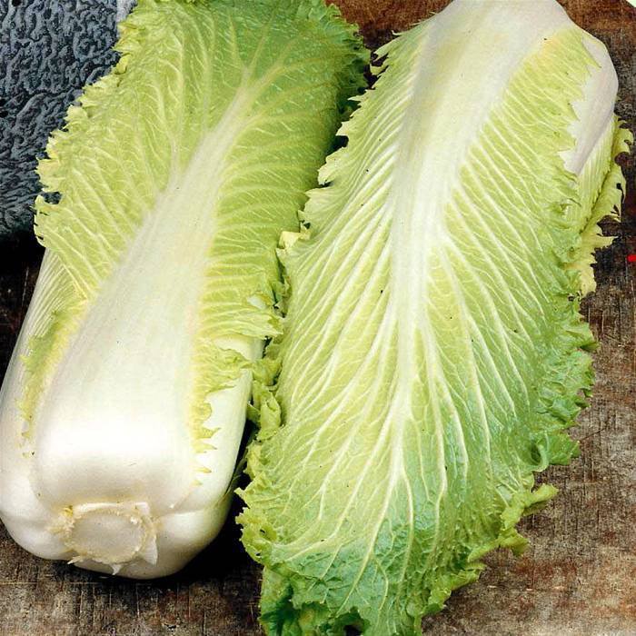 150 vegetable seeds Cabbage Chinese Michili       #IEB47