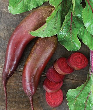 50 vegetable seeds Beet   Cylindra    #IEB47