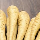 50 vegetable seeds Parsnip  Harris Early Model     #IEB47