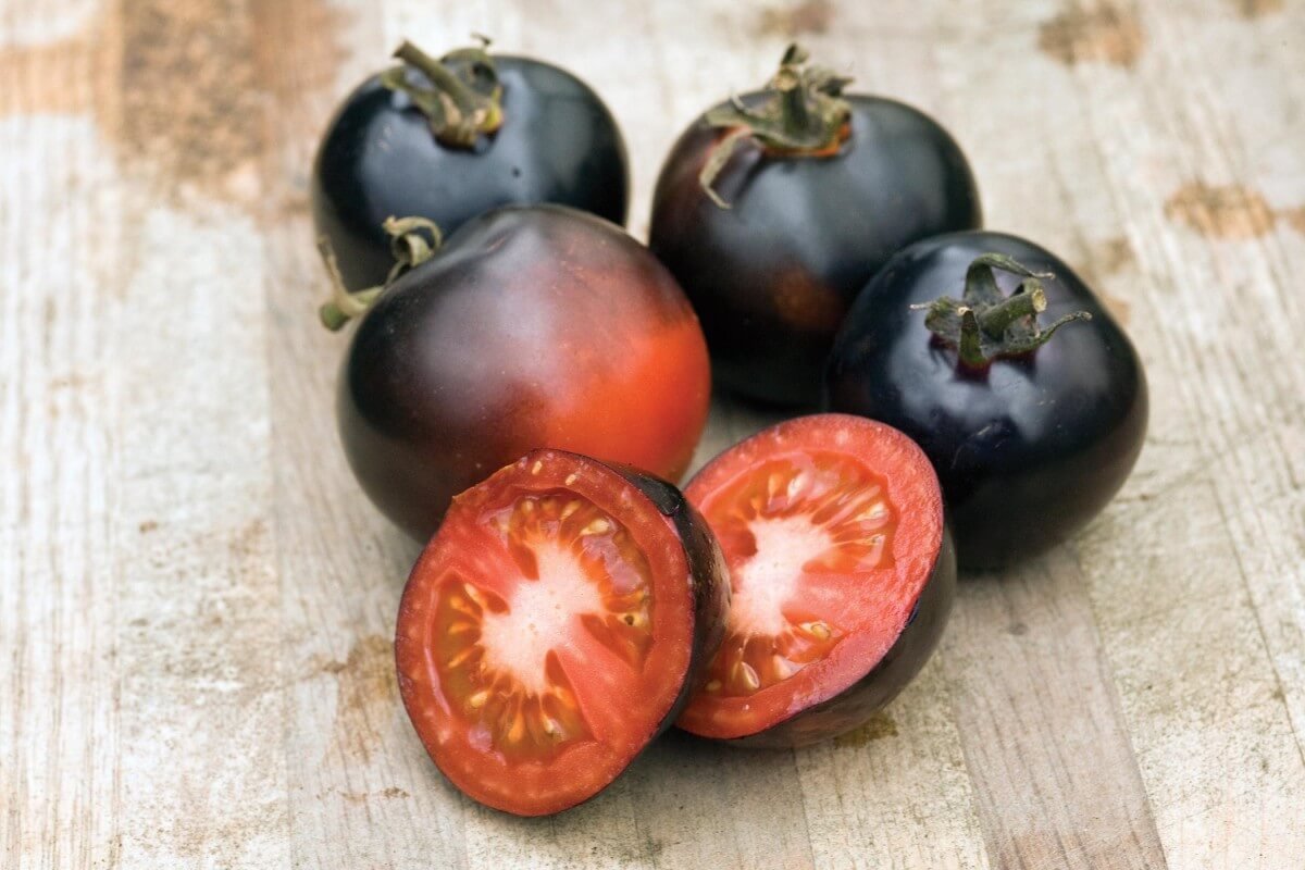 20 vegetable seeds Indigo Rose Tomato   #IEB41