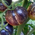 20 vegetable seeds Dark Galaxy Tomato   Unique Red    #IEB41