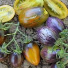 25 vegetable seeds Brad's Atomic Grape Tomato    #IEB41