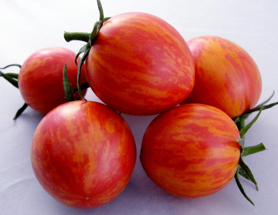 25 seeds Pink Bumblebee Tomato, easy to grow     #IEB41