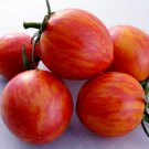 25 seeds Pink Bumblebee Tomato, easy to grow     #IEB41