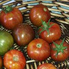 20 seeds Spike Tomato, easy to grow      #IEB41