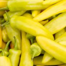 100 Seeds Hungarian Wax Pepper Spicy Pepper     #IEB48