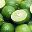 5 seeds Key Lime  fresh, easy to grow       #IEB49
