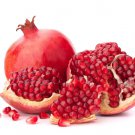 20 seeds Pomegranate  fresh, easy to grow      #IEB49