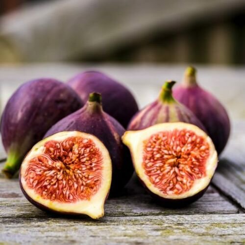 20 seeds Black Mission Fig     #IEB49