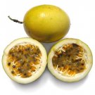 20 Fresh Seeds Of Puerto Rican Parcha   #IEB50