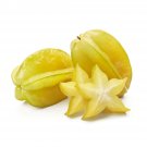 10 seeds  star fruit, easy to grow  #IEB50