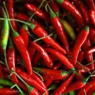 20 vegetabe seeds   Hot Aji Caballero  pepper    #IEB50