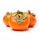 12 Persimmon Fruit Tree Seeds Diospyros Kaki, easy to grow  #IEB52